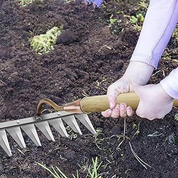 gid://shopify/MediaImage/27001964331078